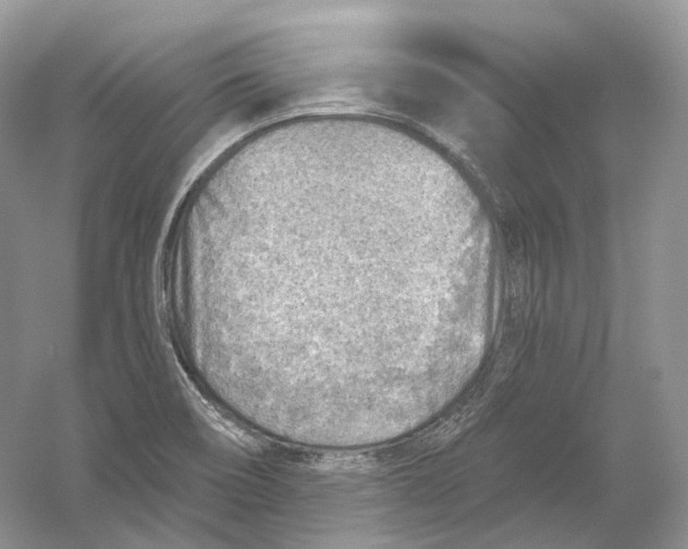 X0000054361466200508262302