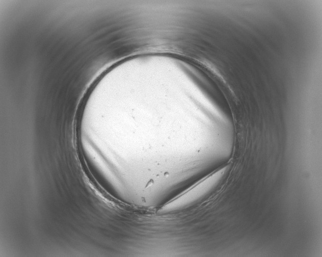 X0000054361468200508262302