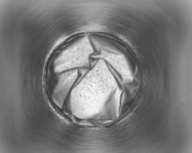X0000054361469200508262302
