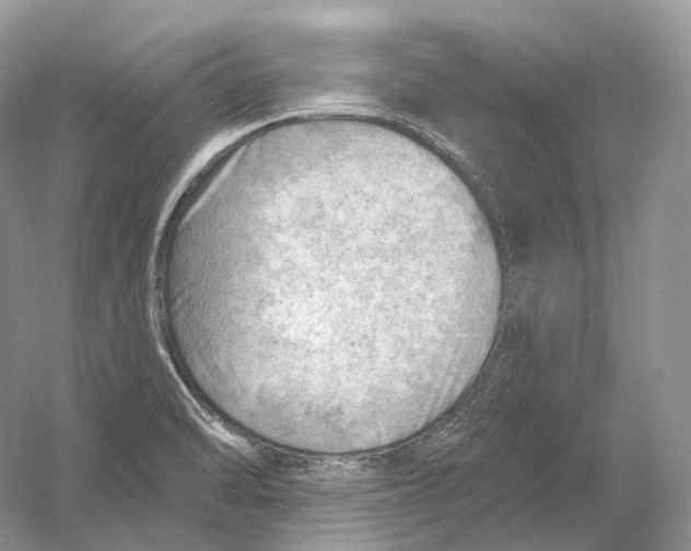X0000054361470200508262302
