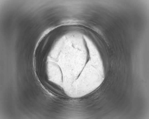 X0000054361472200508262302