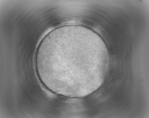X0000054361474200508262302