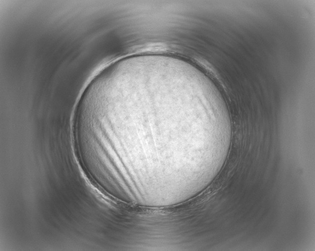 X0000054361475200508262302