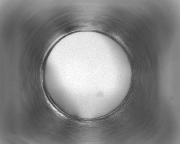 X0000054361476200508262302