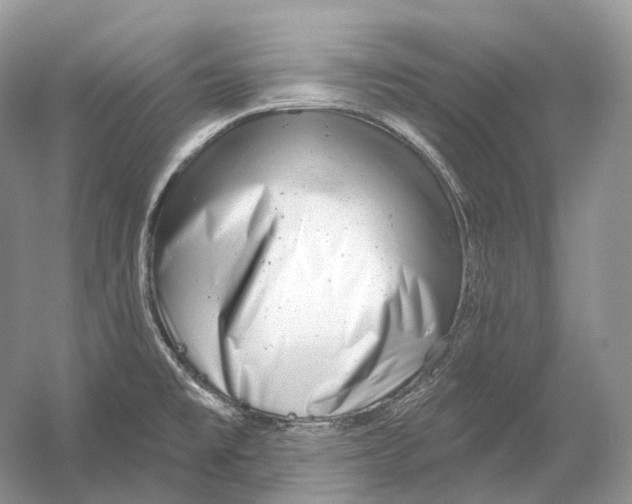 X0000054361477200508262302