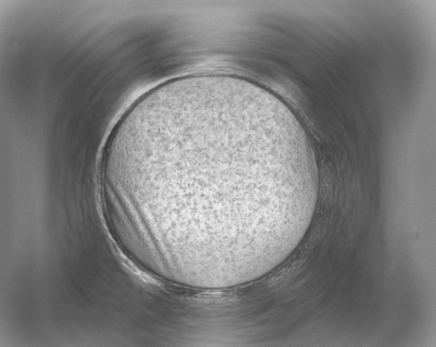 X0000054361478200508262302