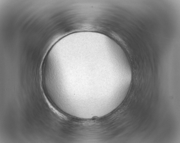 X0000054361479200508262301