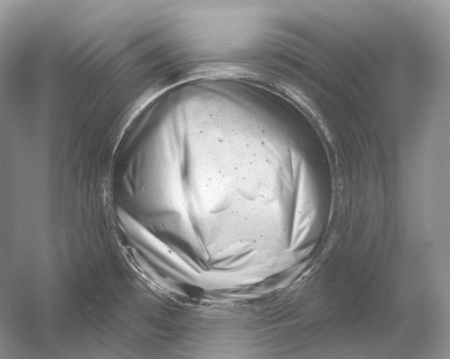 X0000054361481200508262301