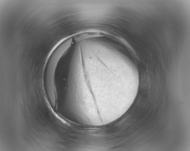 X0000054361484200508262301