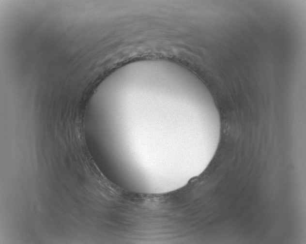 X0000054361490200508262301
