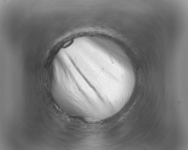 X0000054361494200508262301