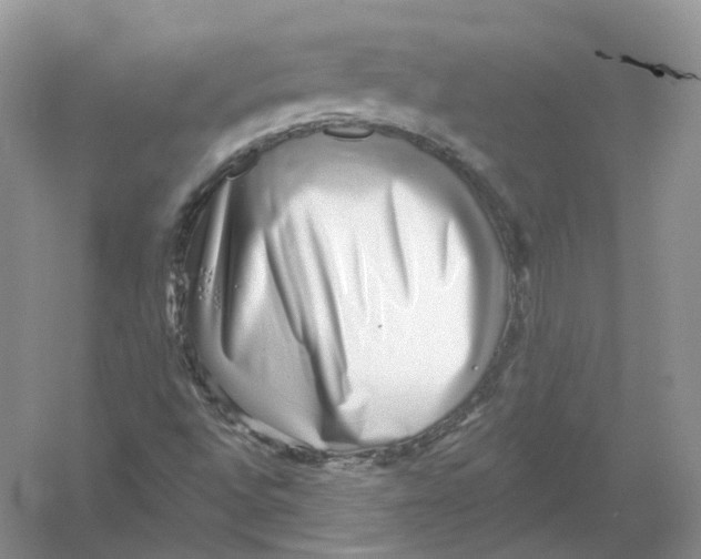 X0000054361496200508262301