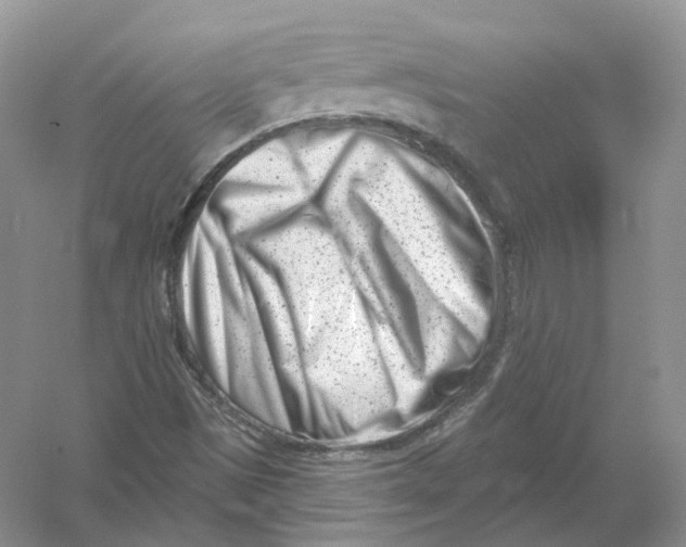 X0000054361497200508262301