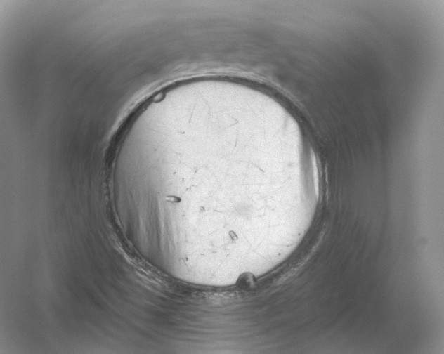 X0000054361501200508262301