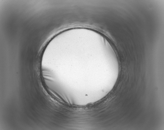 X0000054361504200508262301
