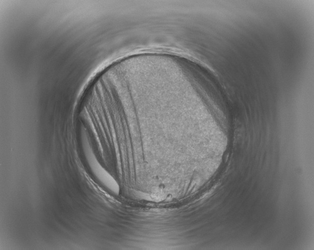 X0000054361506200508262301