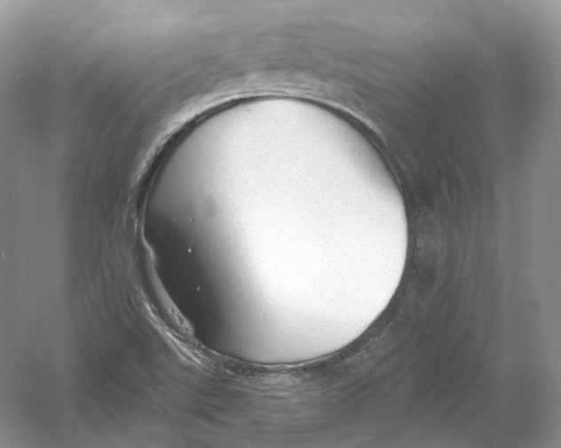 X0000054361507200508262301