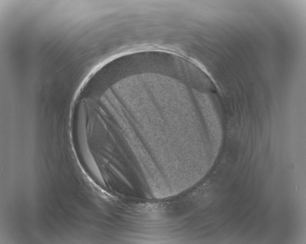 X0000054361508200508262301