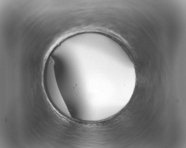 X0000054361512200508262301