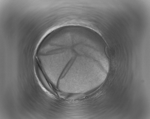 X0000054361515200508262301