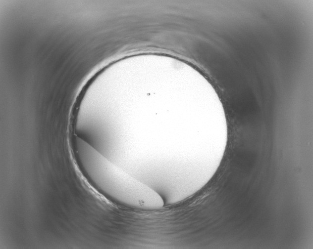X0000054361518200508262301