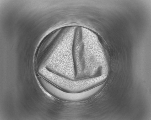 X0000054361519200508262301
