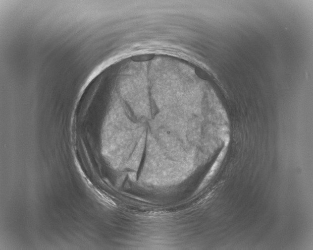 X0000054361522200508262301