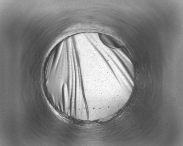 X0000054361523200508262301
