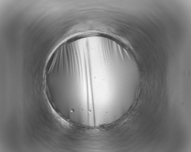 X0000054361524200508262301