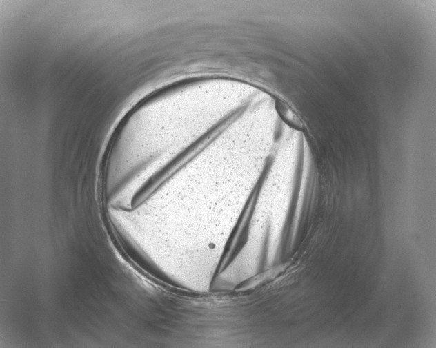 X0000054361527200508262301