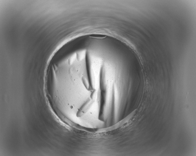 X0000054361528200508262301