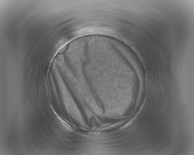 X0000054361529200508262301