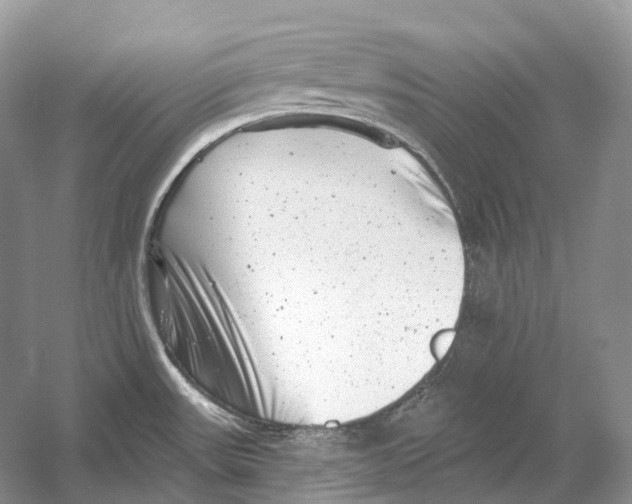 X0000054361531200508262301