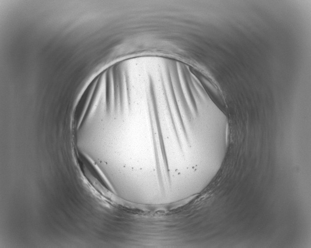 X0000054361532200508262301