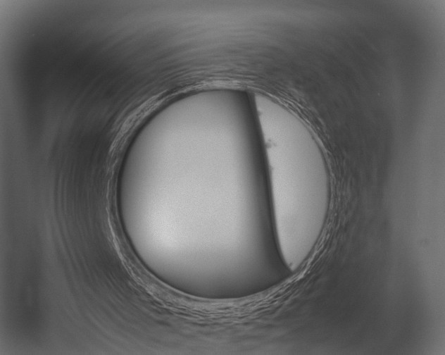 X0000054370001200507290843