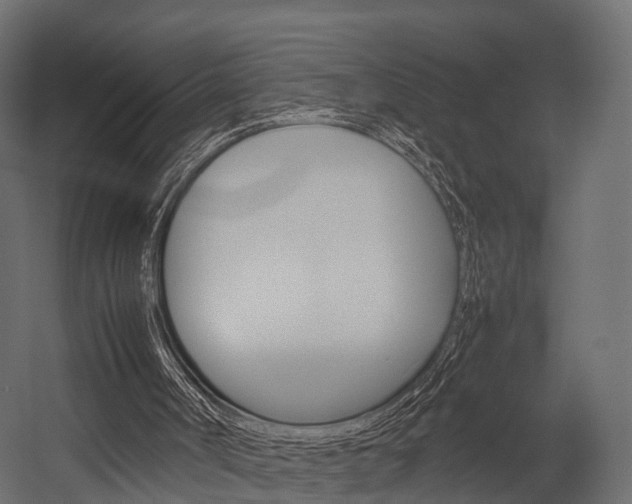 X0000054370002200507290843