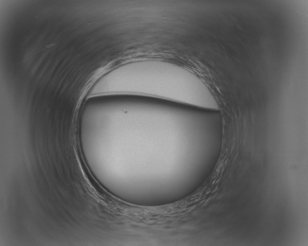 X0000054370003200507290843