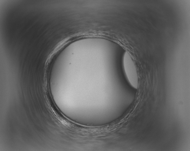 X0000054370005200507290843