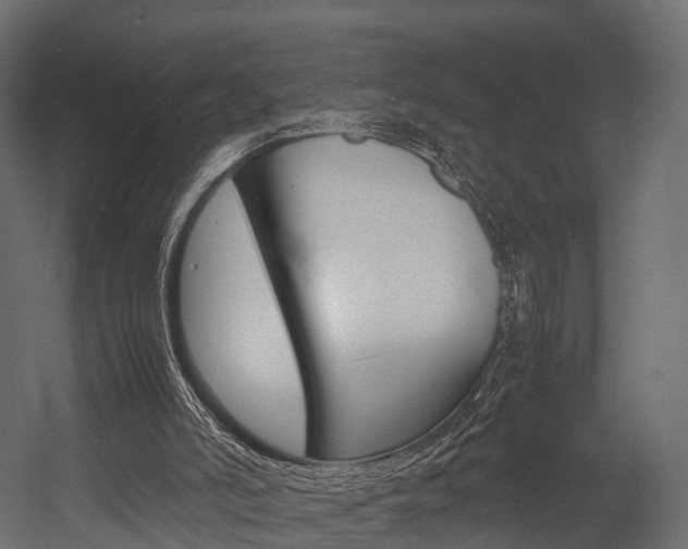 X0000054370006200507290843