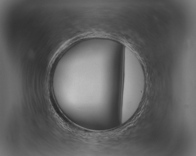 X0000054370007200507290843