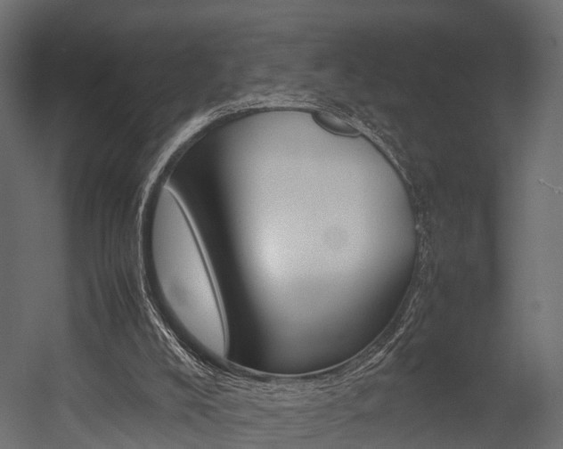 X0000054370008200507290843