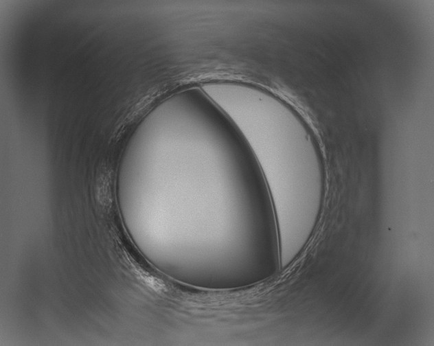 X0000054370009200507290843