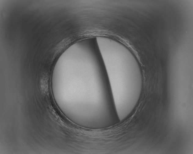 X0000054370010200507290843