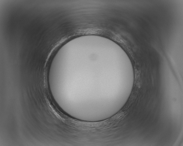 X0000054370012200507290843