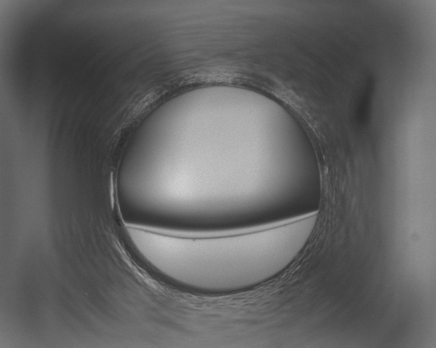 X0000054370013200507290843