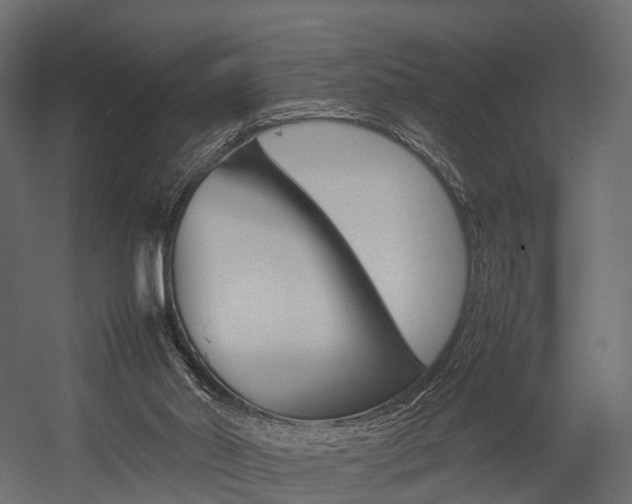 X0000054370014200507290843