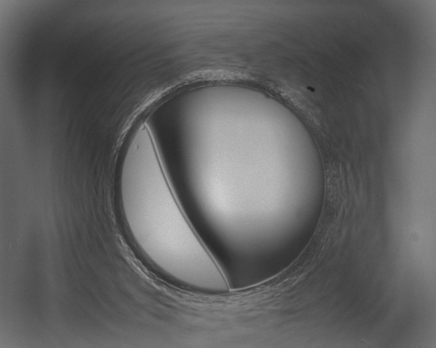 X0000054370015200507290843