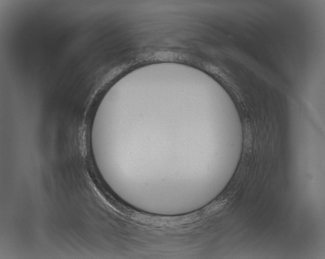 X0000054370016200507290843