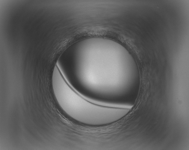 X0000054370017200507290843