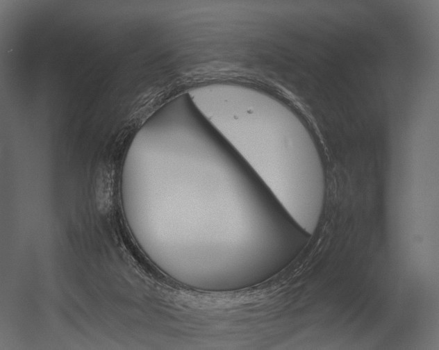 X0000054370018200507290843